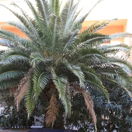 Diocletian Palace Suites דירה ספליט